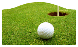 DASHELL-342 Gone Golfing (Balls)